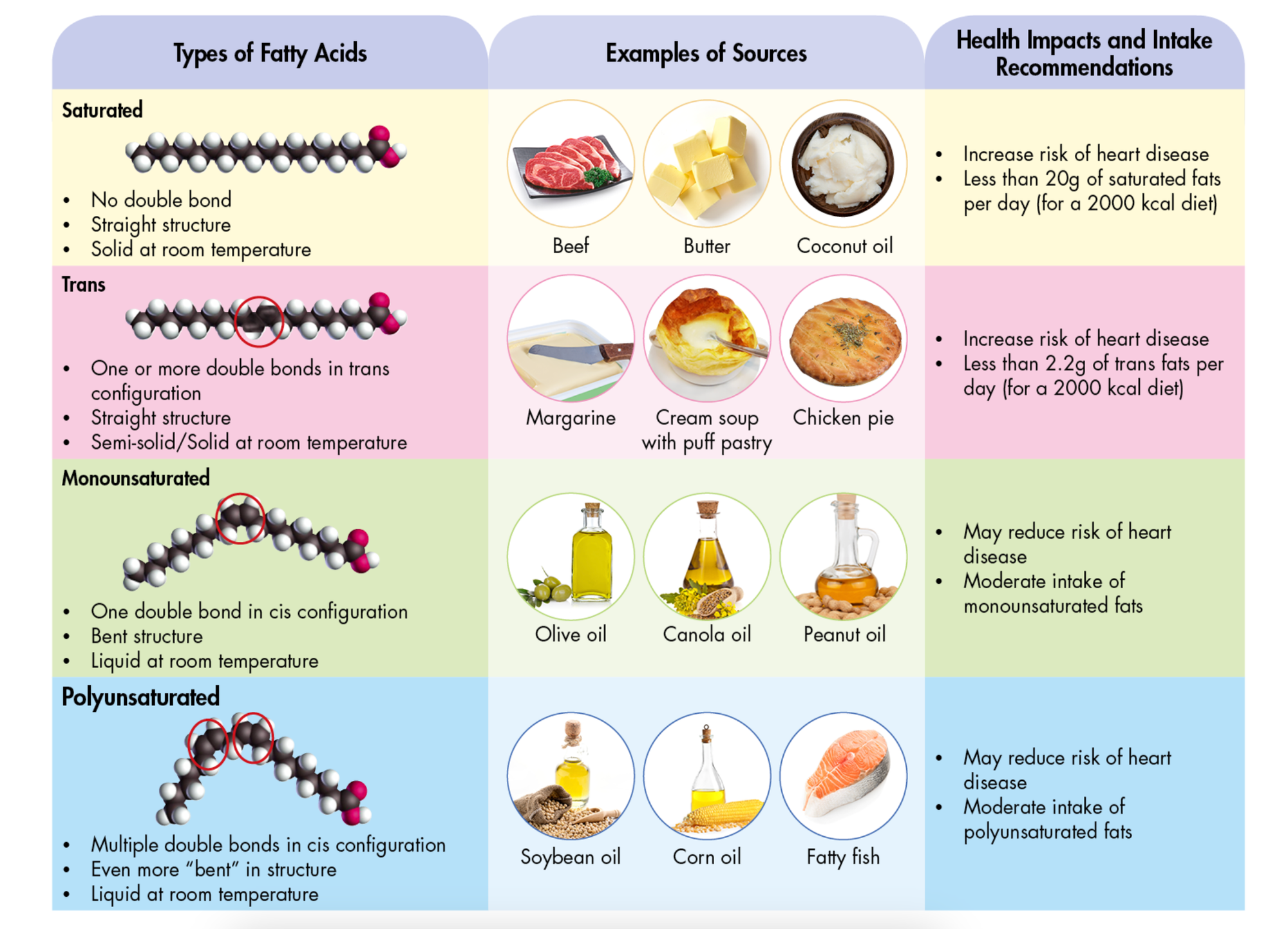 Saturated Verses Unsaturated Fats: Breaking Down the Truth