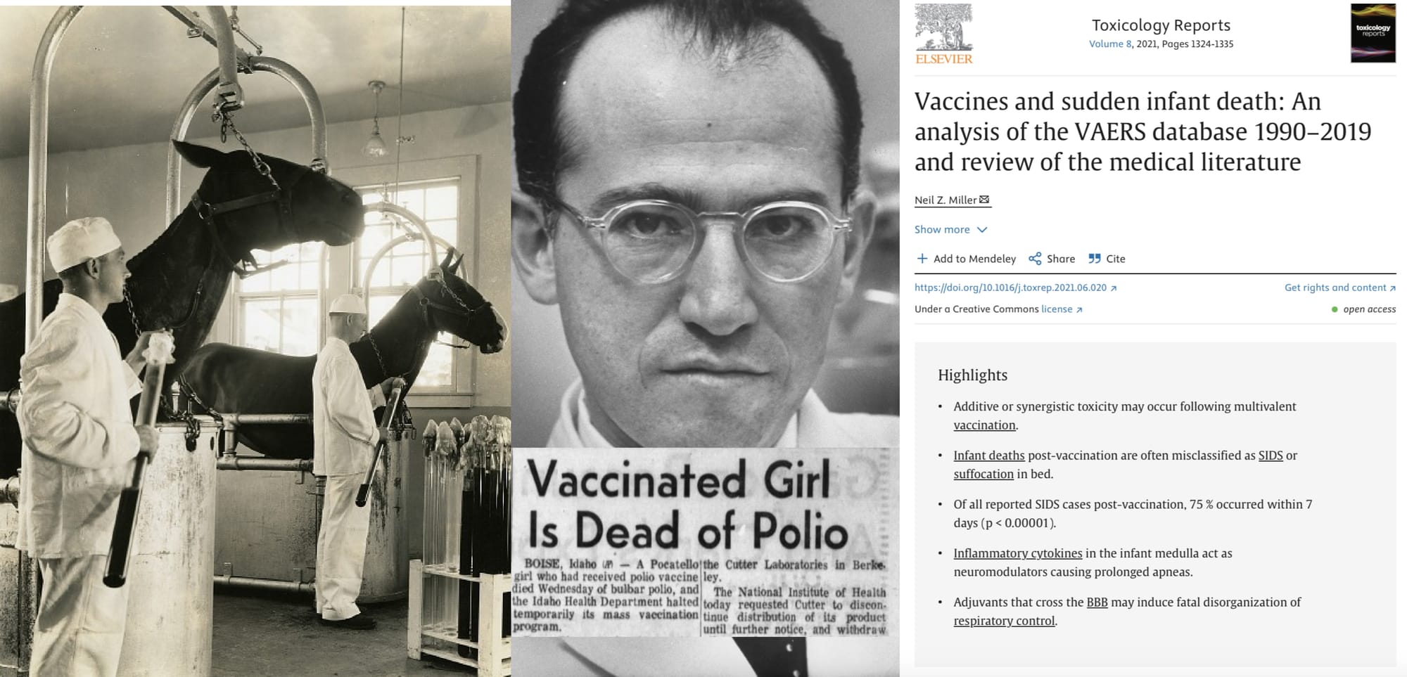 Vaccination