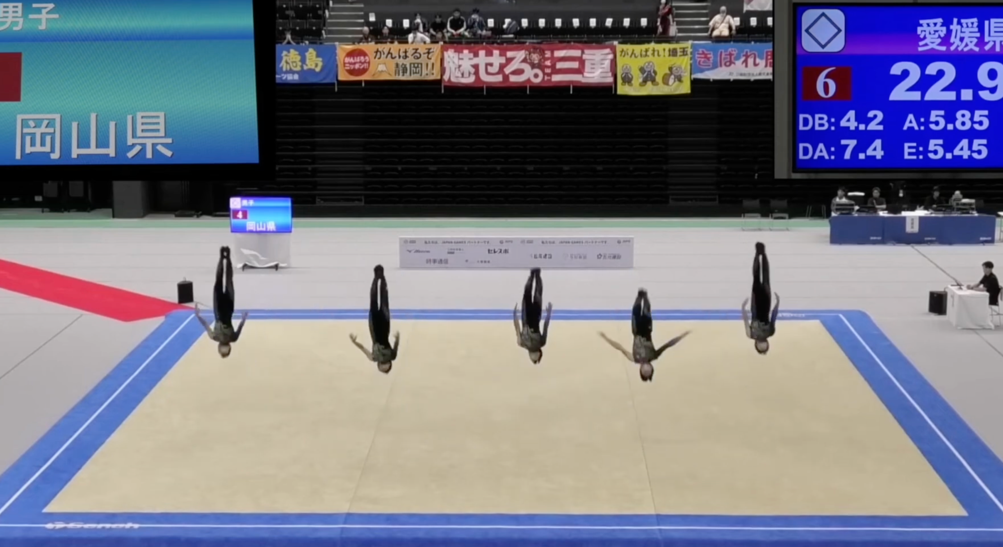 Palette Cleanser: Maybes RAC x Men's Synchronized Gymnastics