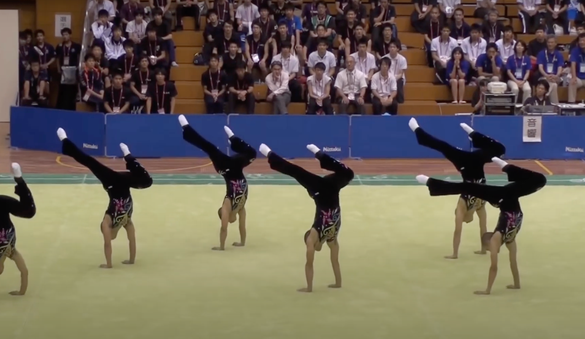 Palette Cleanser: Pretty Lights x Men's Synchronized Gymnastics 2.0