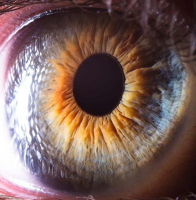 Windows To The Soul