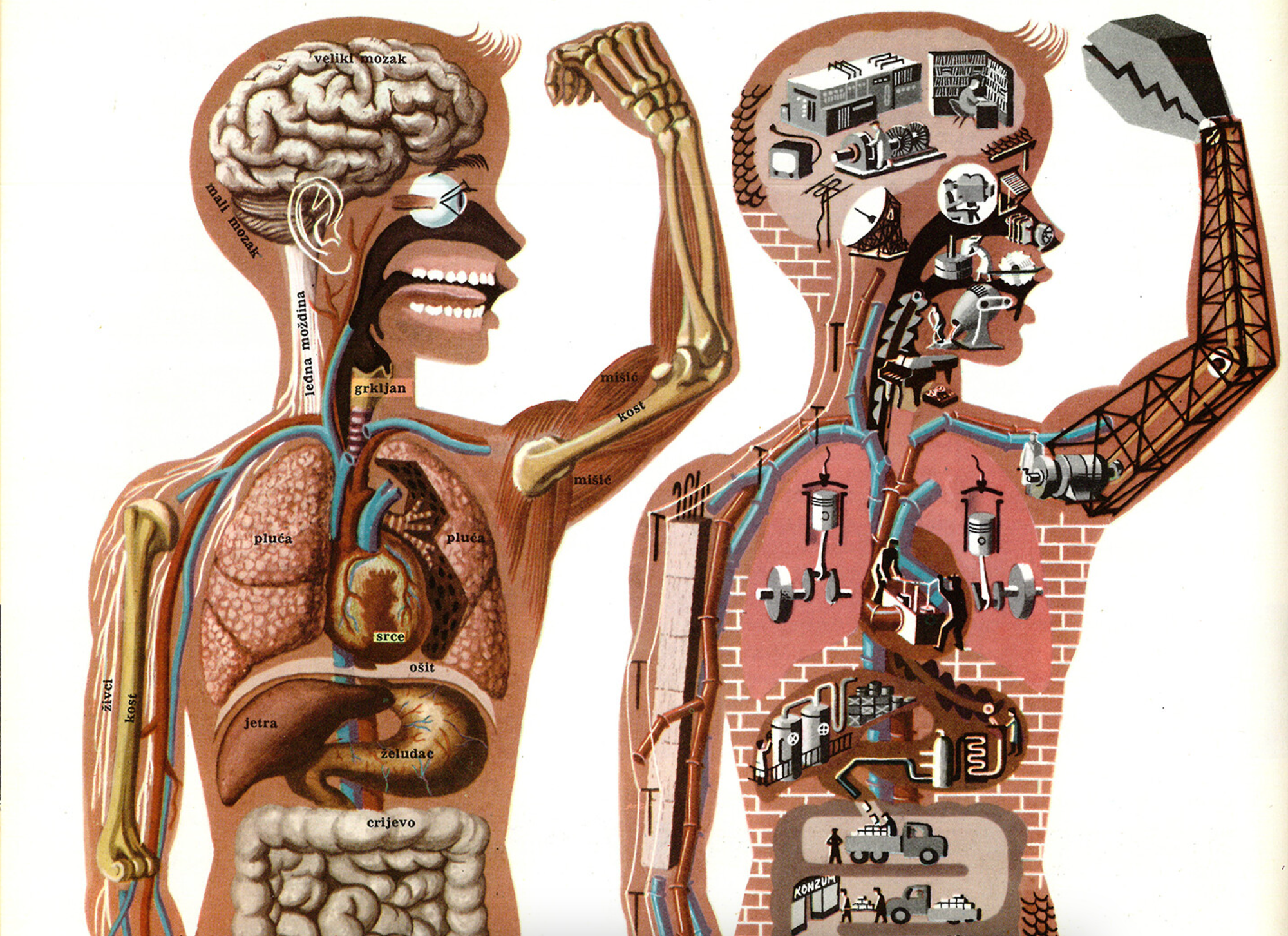 Modern Medicine Fails Because It Measures Life Like It's Dead, Inert Matter