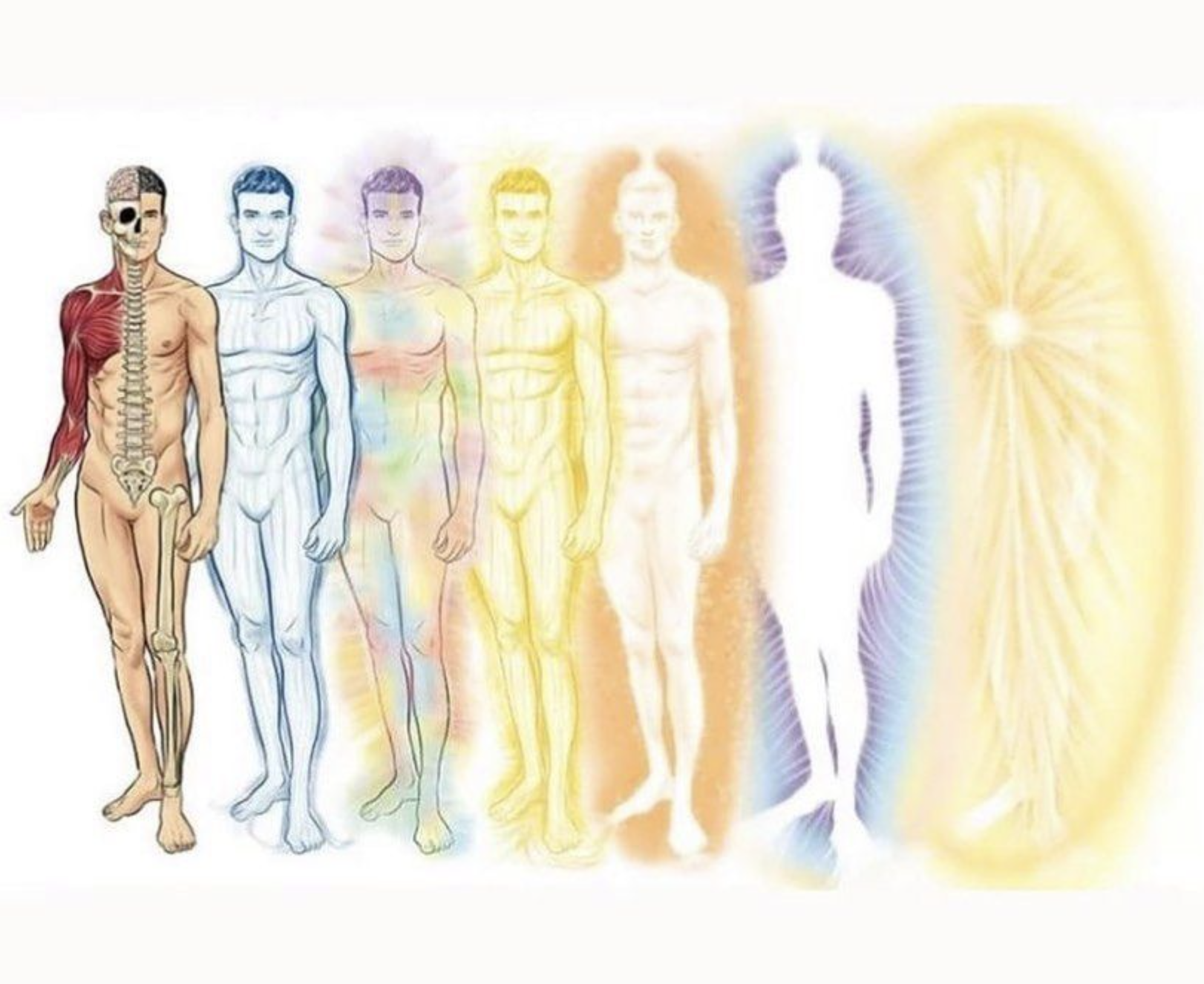 A New Perspective On Biology: Seeing The Body Beyond Biochemistry
