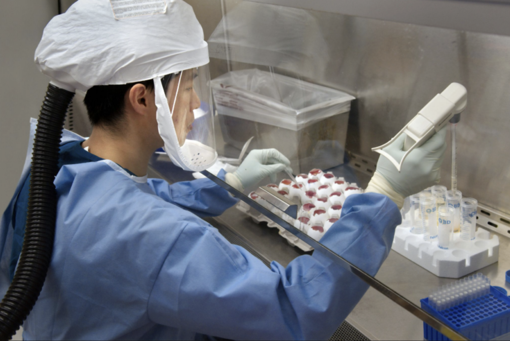 CDC & CIA: A Sickeningly Close Relationship